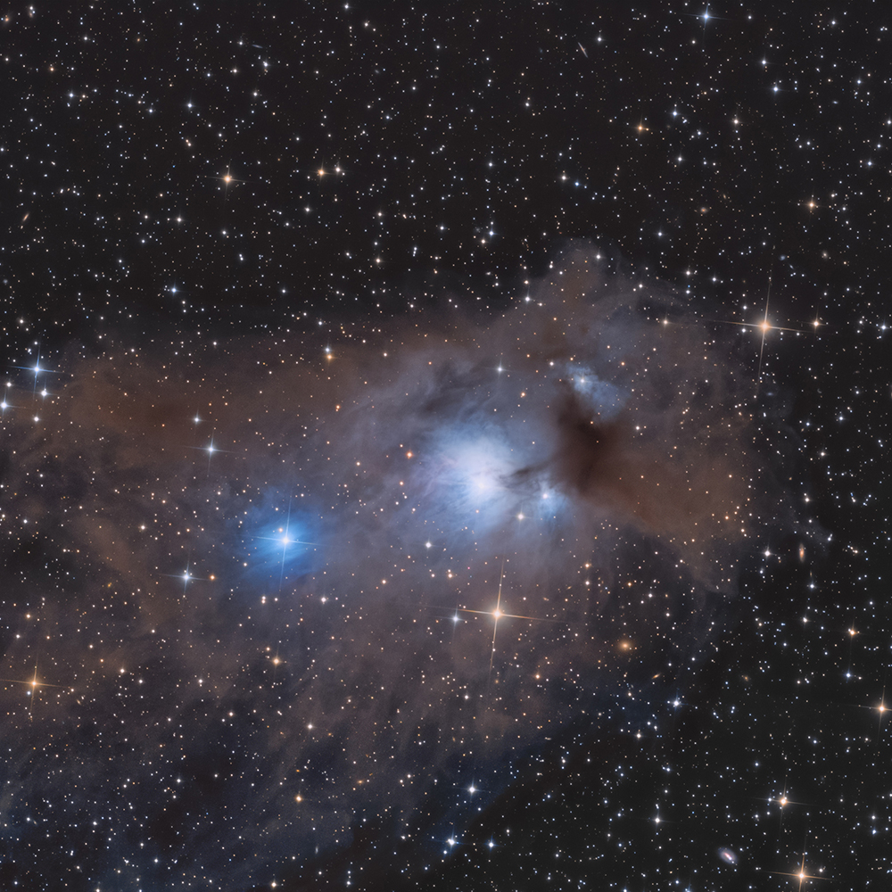 Cometary Globule 12 & NGC 5367