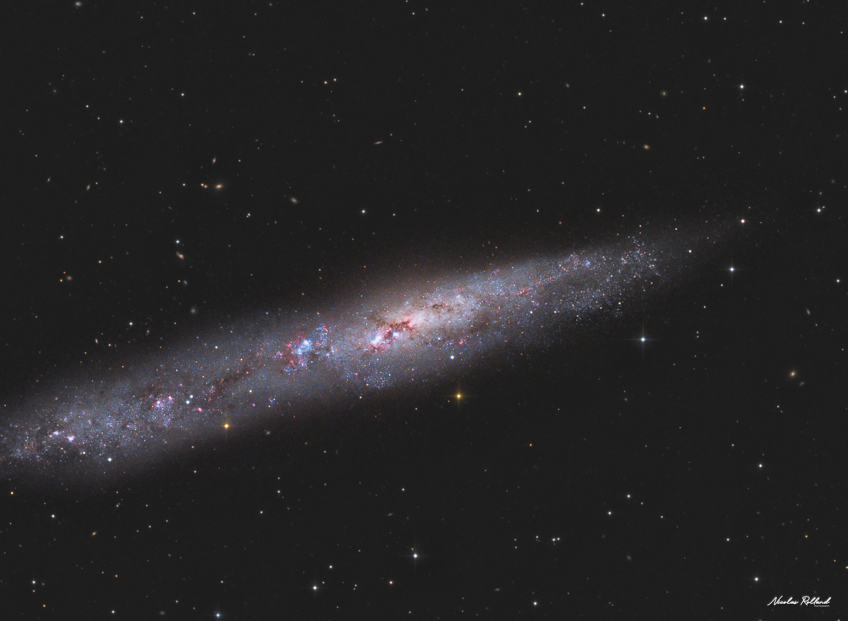 NGC 55 LRGB