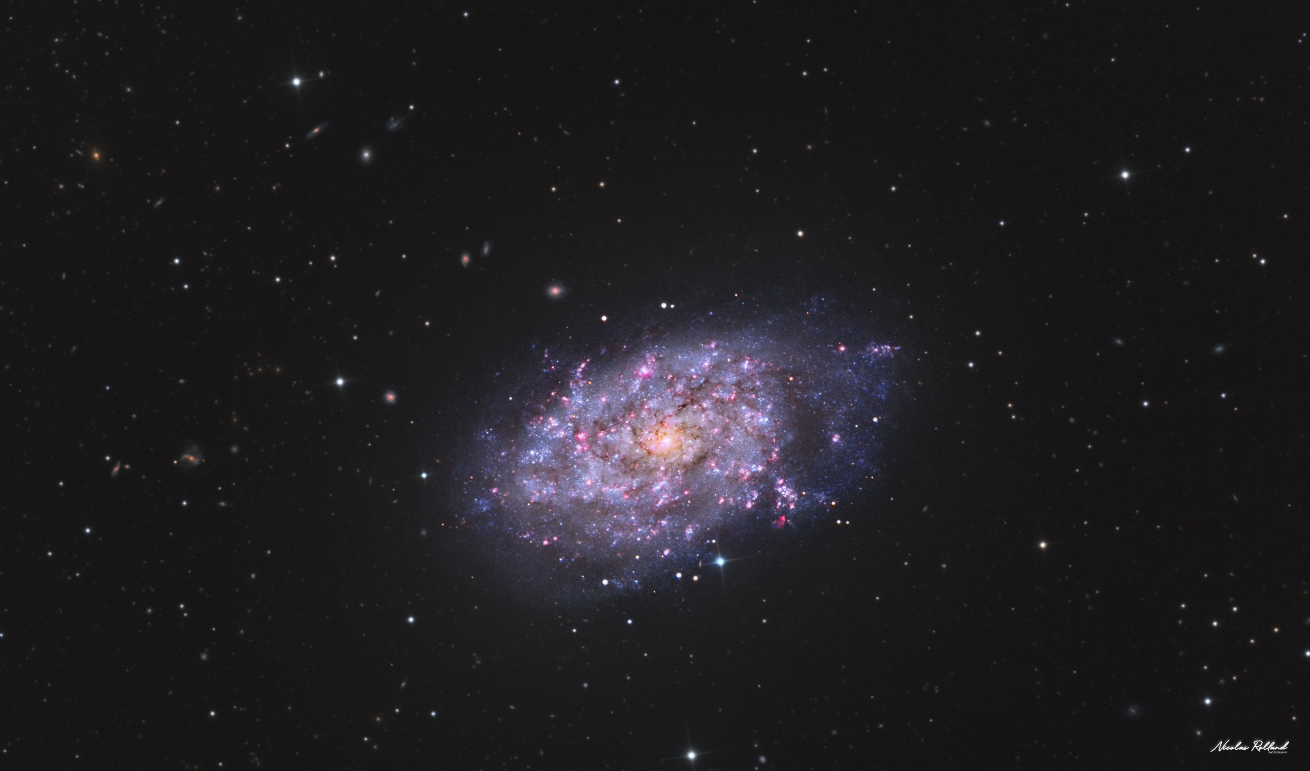 NGC 7793 HaLRGB