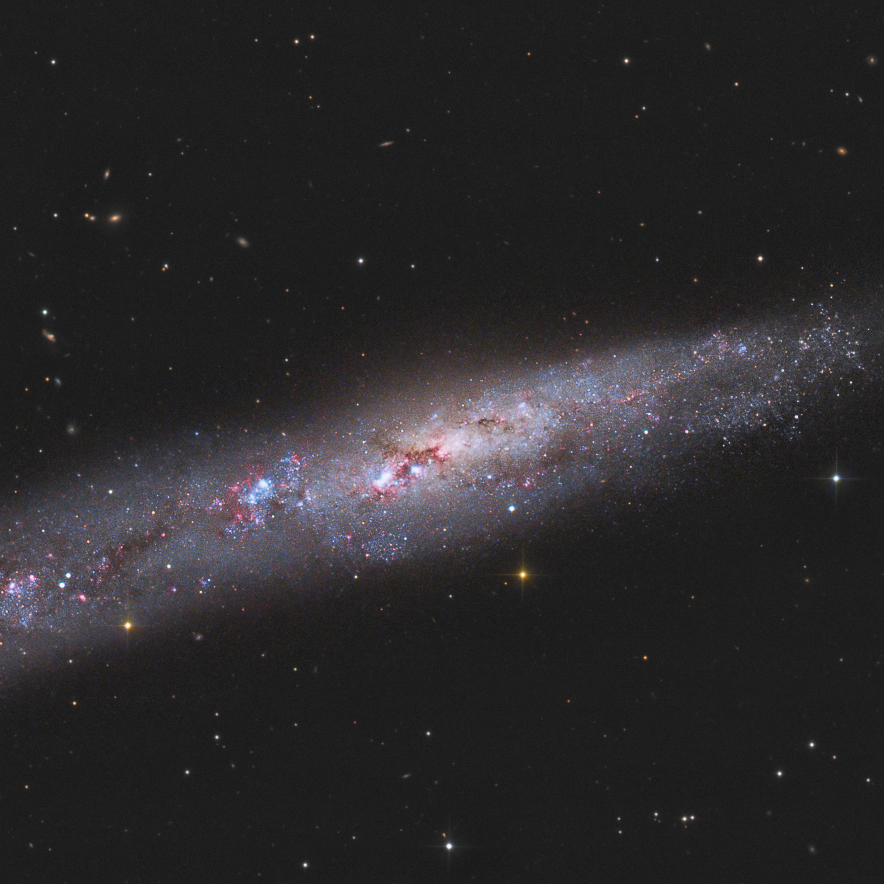 The Whale Galaxy - NGC 55