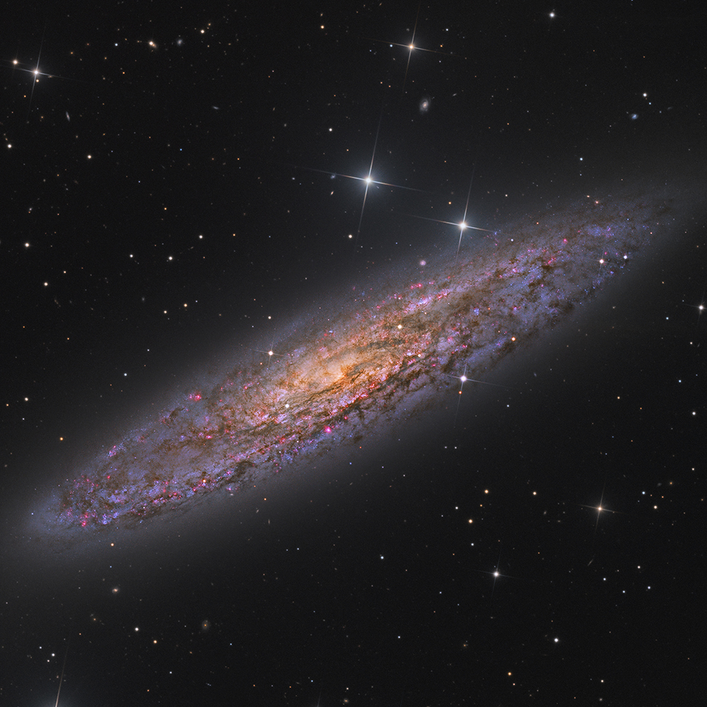 Silver Coin Galaxy - NGC 253