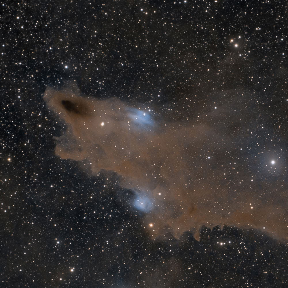 Shark Nebula - LDN 1235