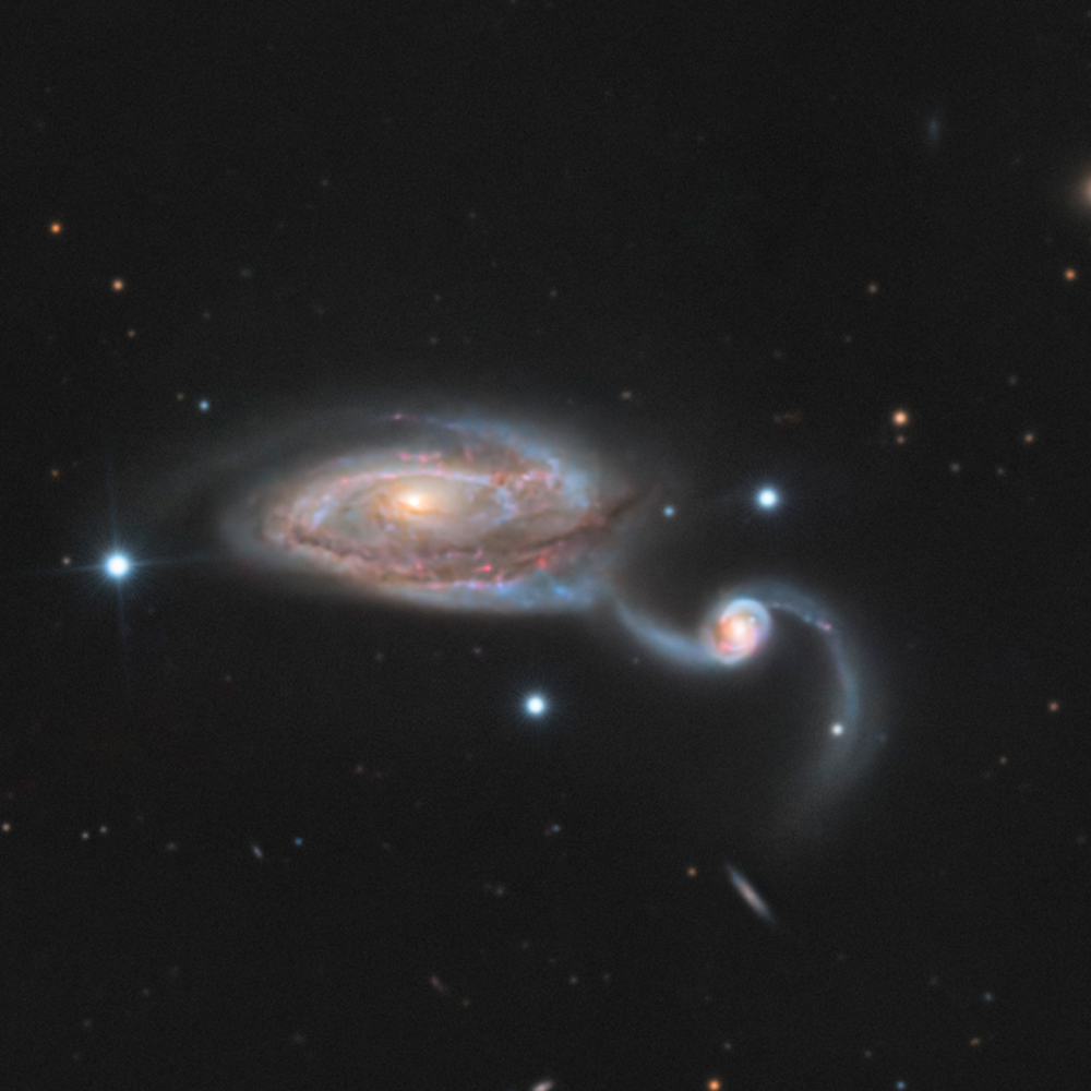 The Heron Galaxy - Arp 84