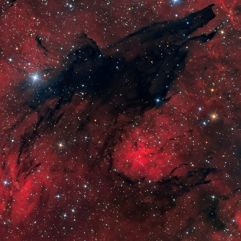 The Dark Wolf Nebula - SL 17