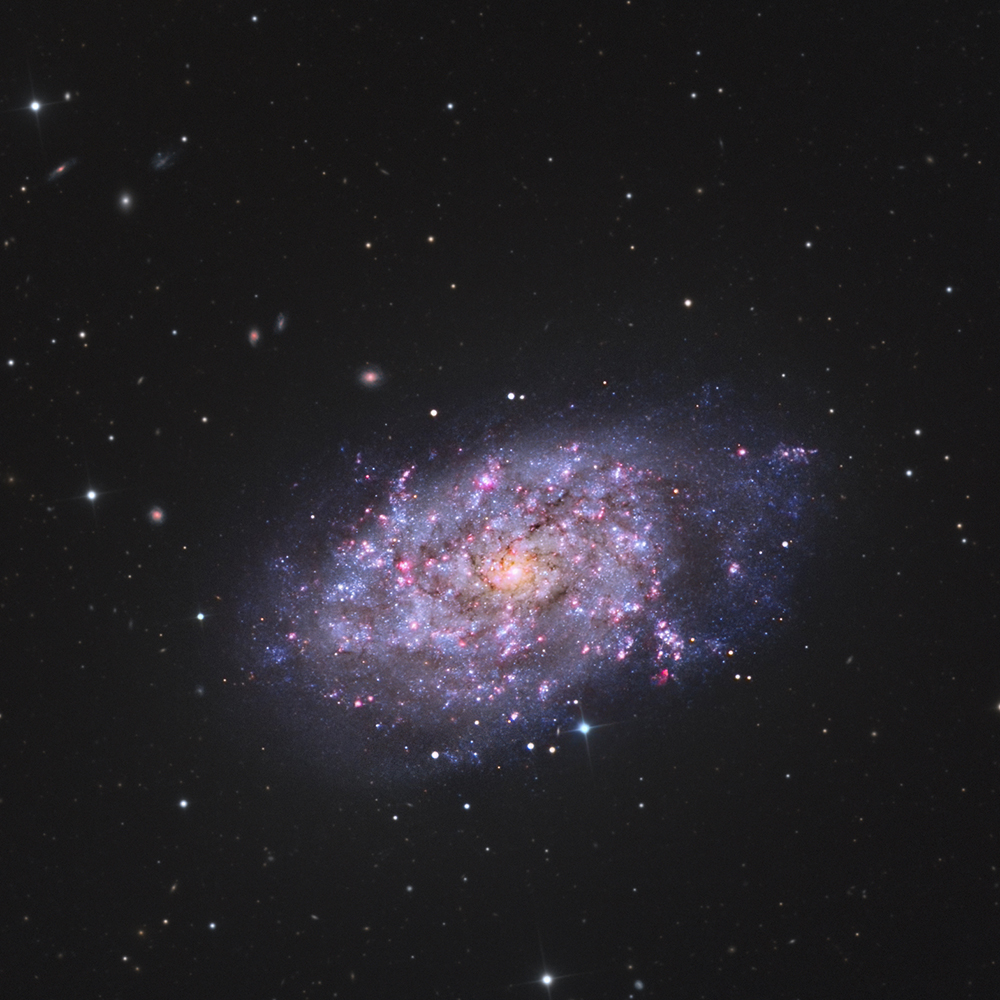 NGC 7793