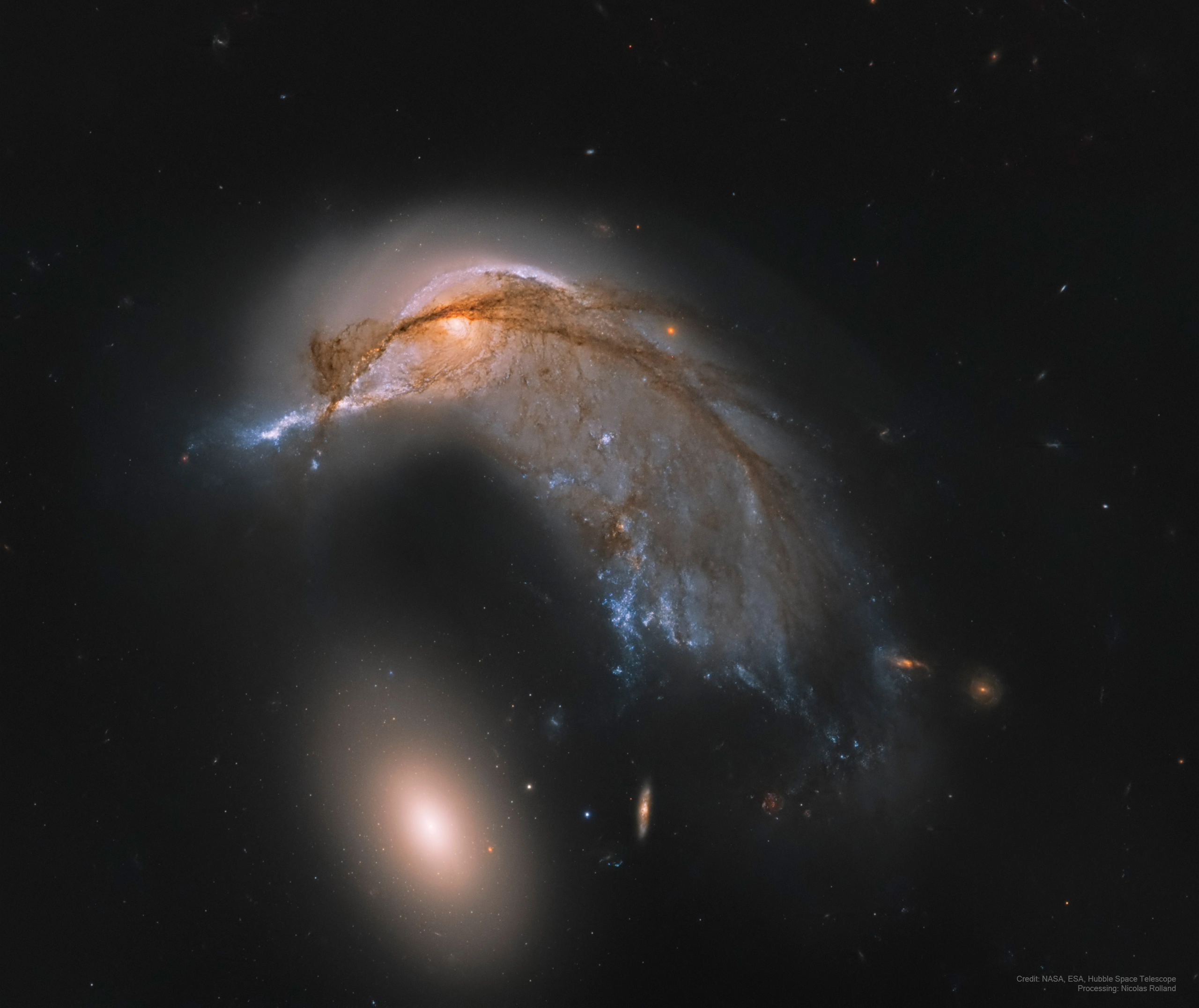 Arp 142 — display Arp 142, the Penguin and the Egg, a spiral galaxy pulled out of shape by an elliptical companion