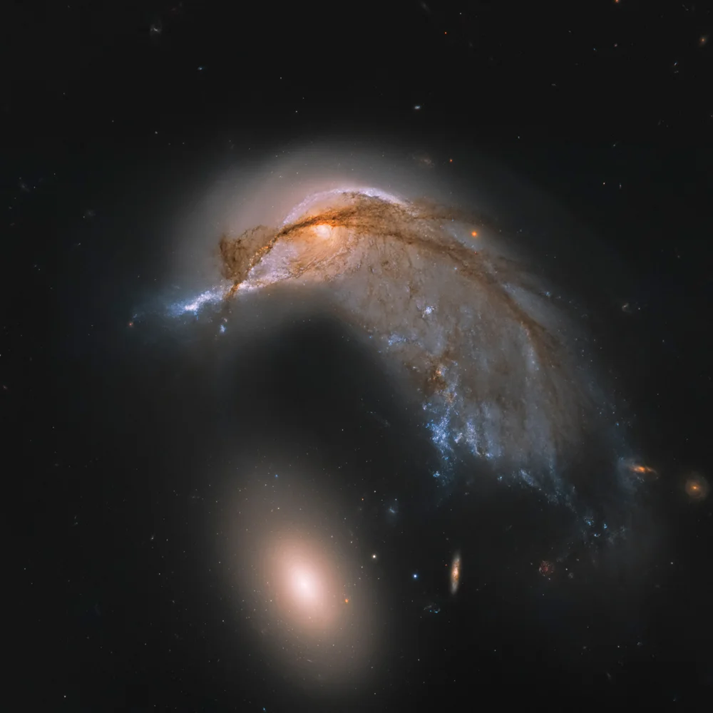 The Penguin and the Egg (Arp 142)