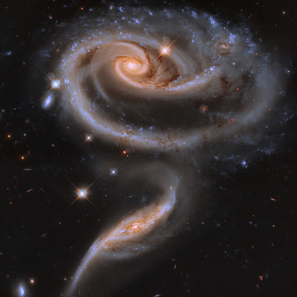 The Rose (Arp 273)