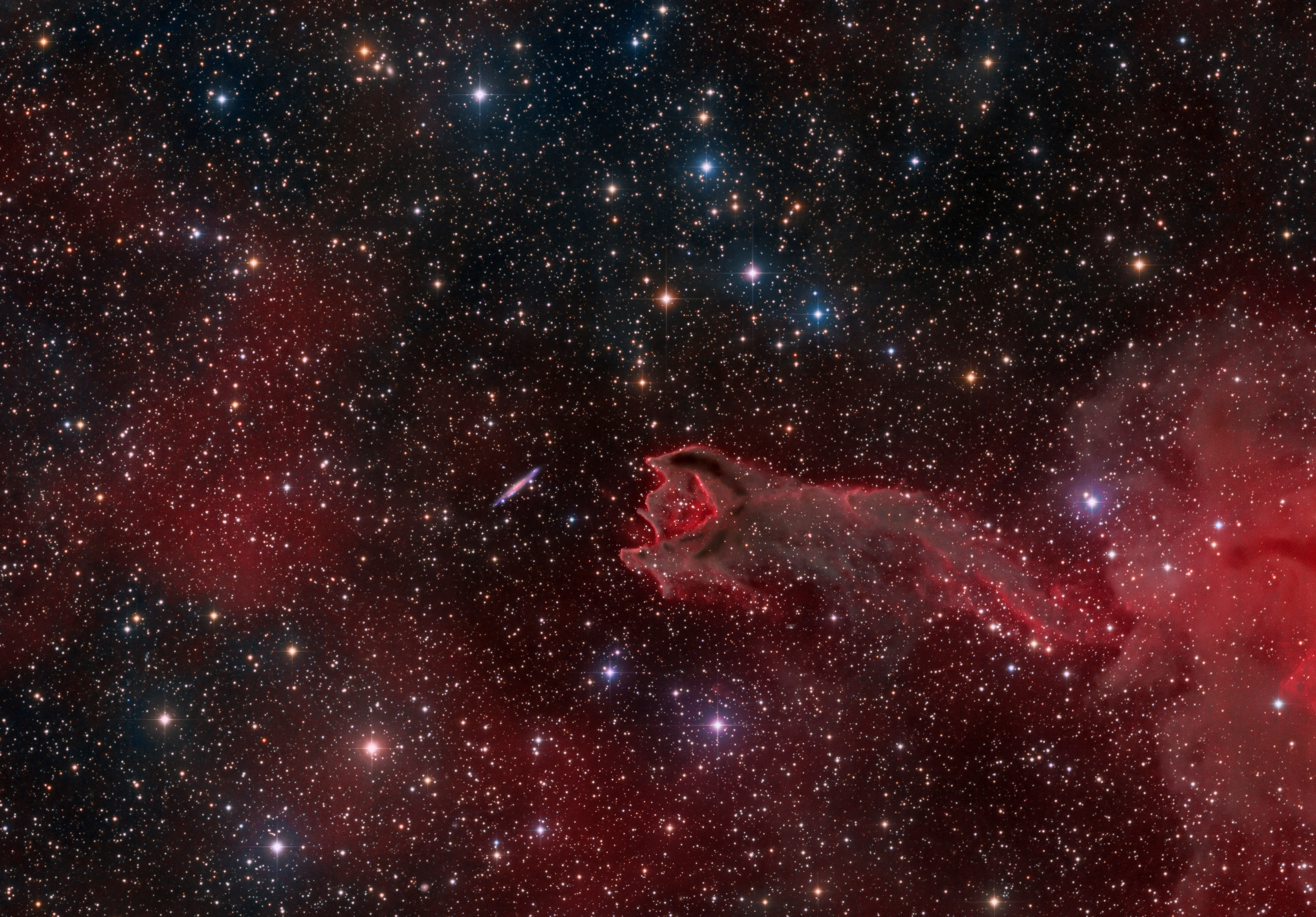 A Ruptured Cometary Globule (CG 4), a dust-laden globule in Puppis with a torn head and an elongated tail, in 38.3 hours of HaLRGB filters