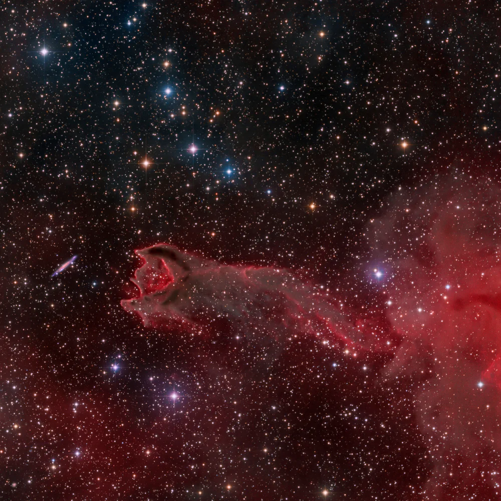 A Ruptured Cometary Globule - CG4