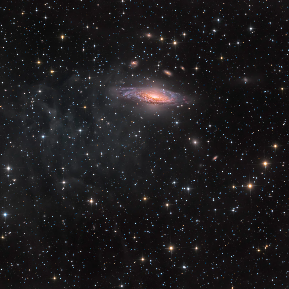 Deer Lick Group & Stephan Quintet