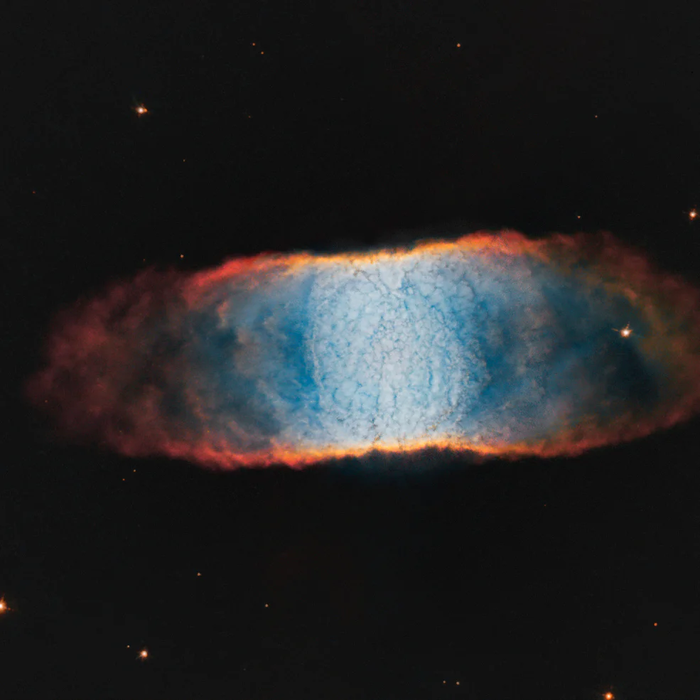 The Retina Nebula (IC 4406)