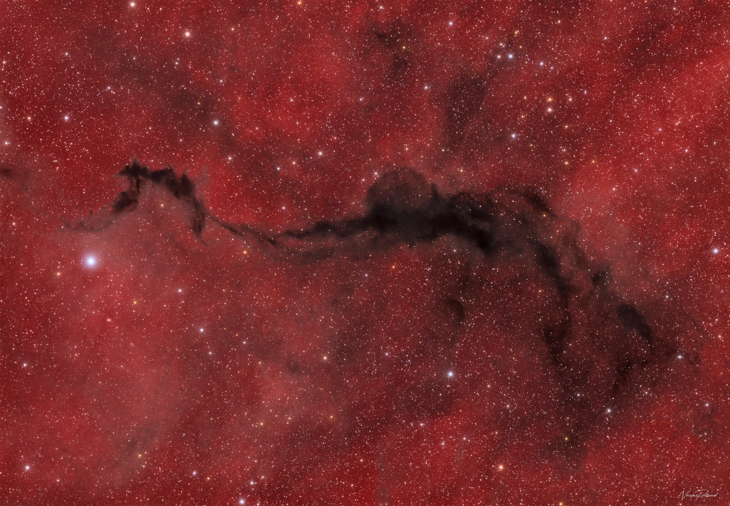 ldn-204-nebula-halrgb-display LDN 204, a dense cloud of interstellar dust in Ophiuchus blocking the light of the stars behind it, in 32.2 hours of HaLRGB.