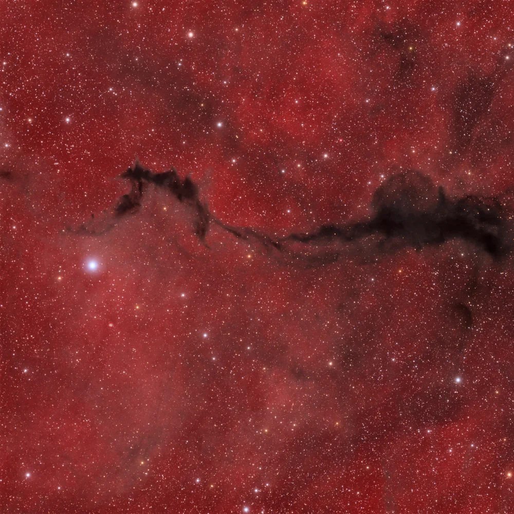 Dark Nebulae in Ophiuchus (LDN 204, LDN 191, LDN 234)