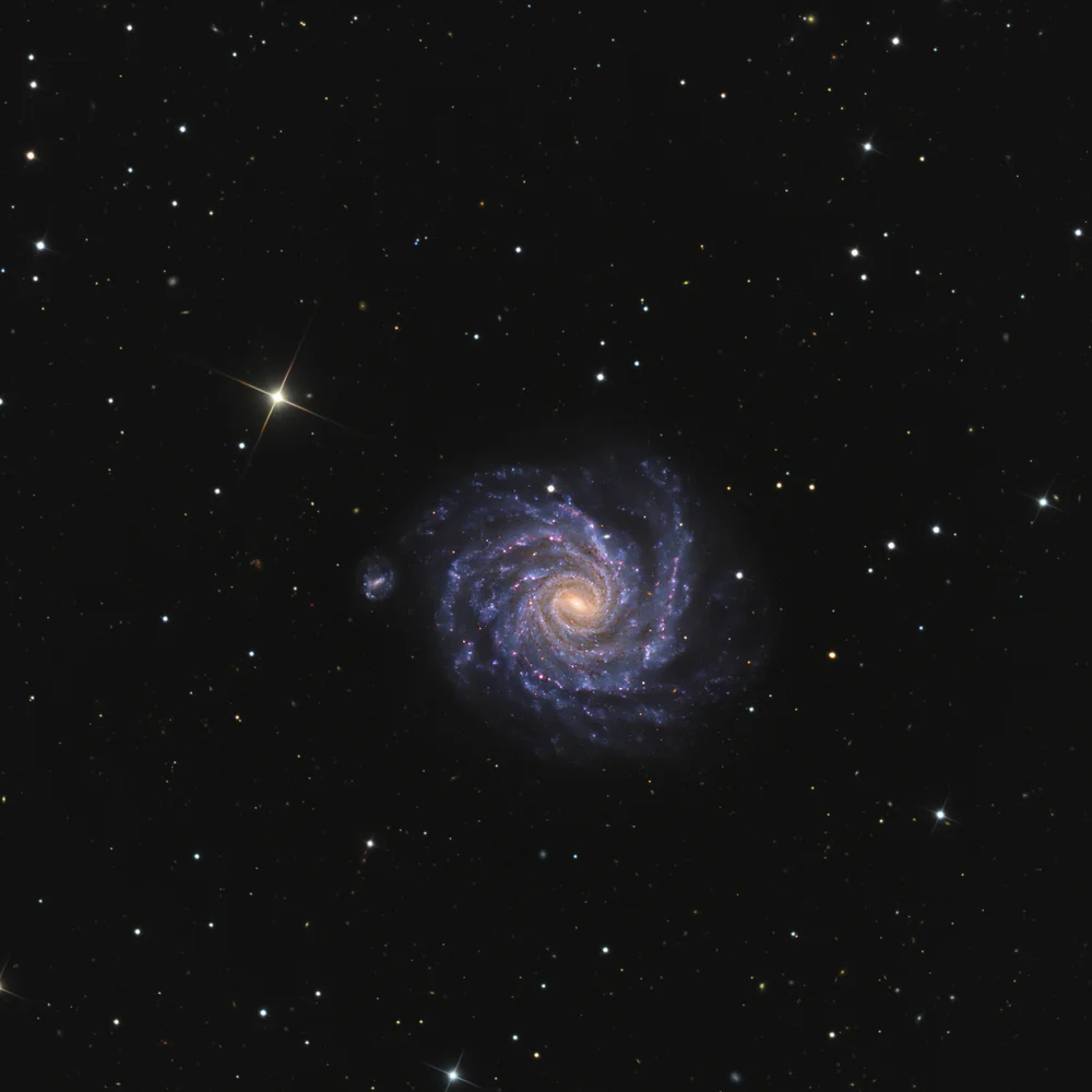 NGC 1232