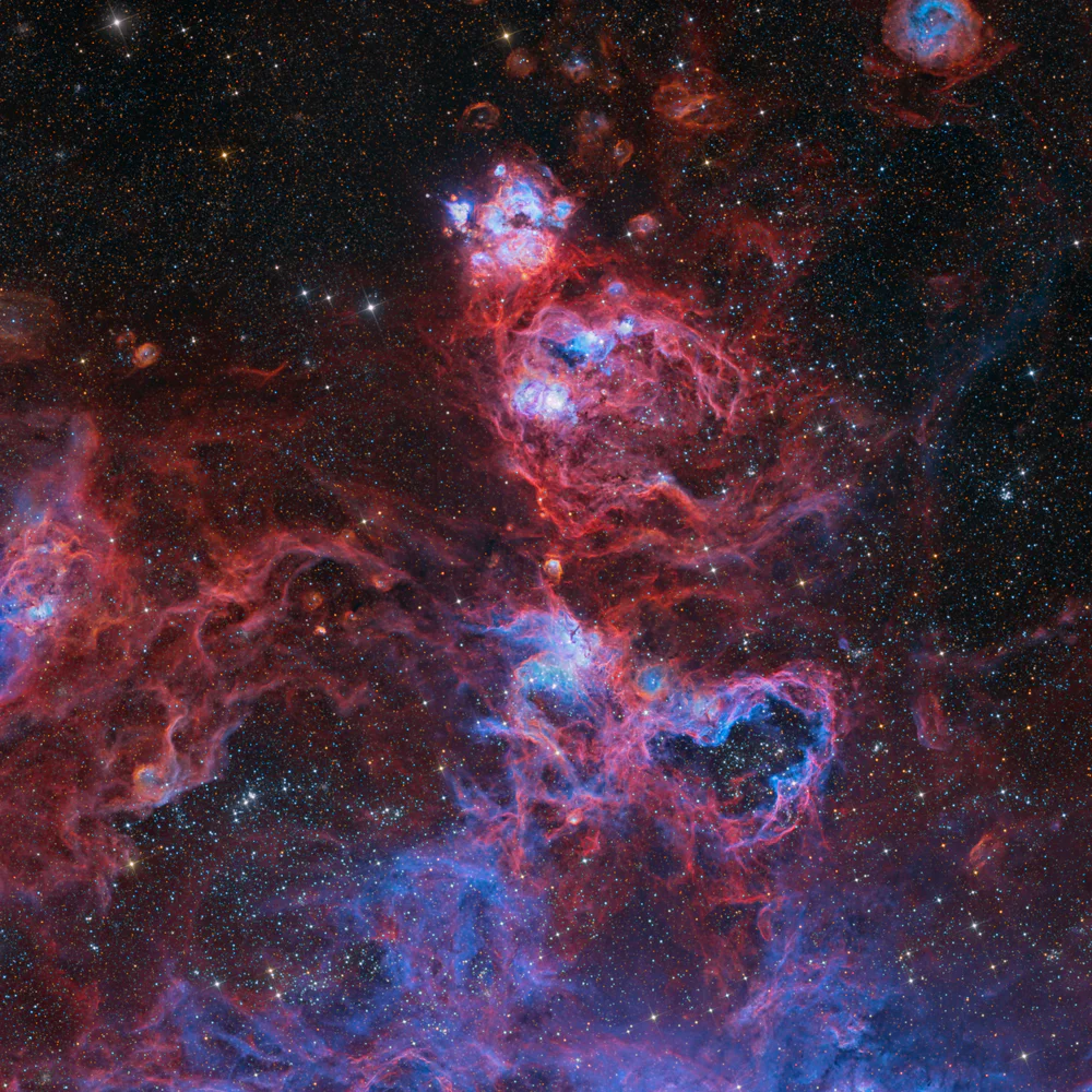 From NGC 2077 to NGC 2055