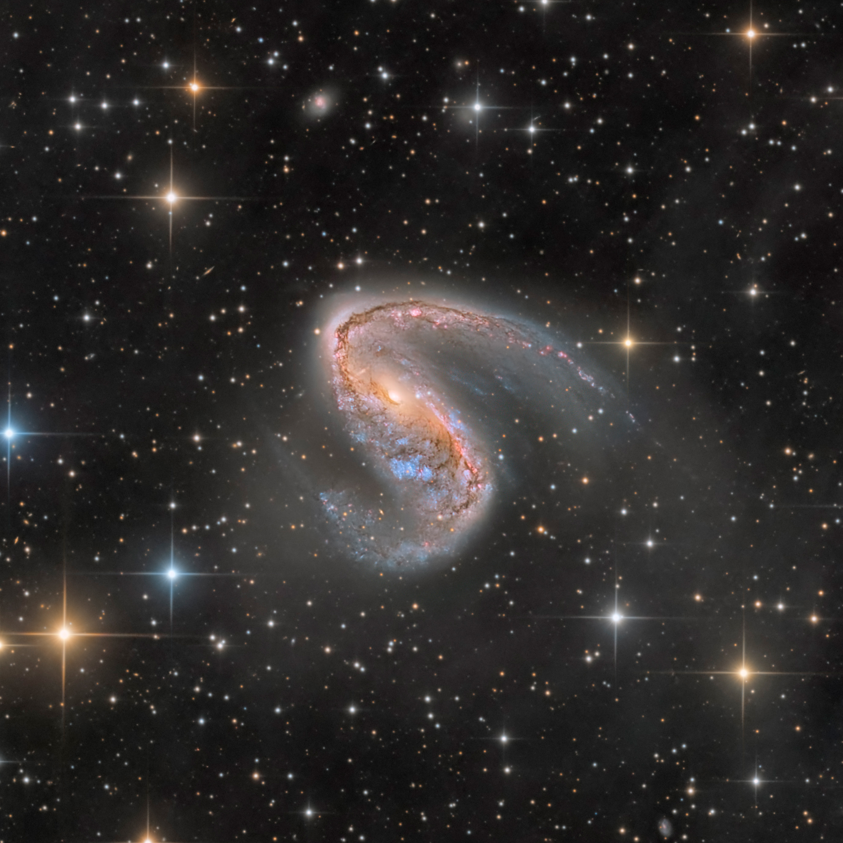 The Meathook Galaxy - NGC 2442