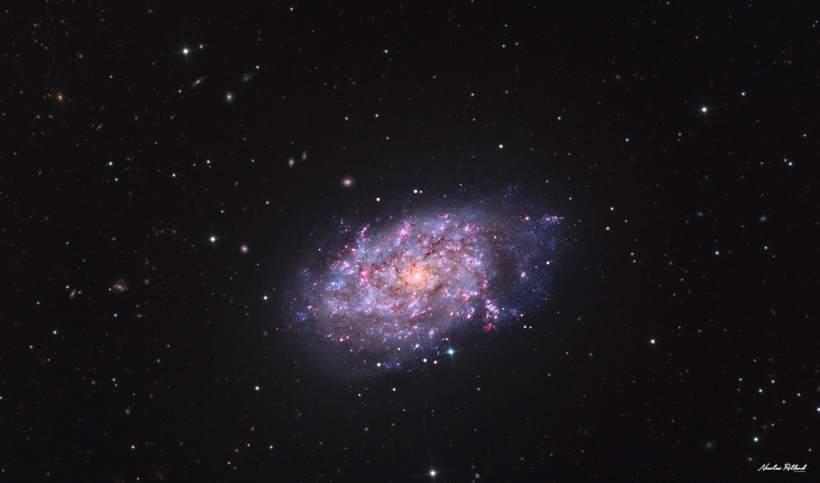 ngc-7793-galaxy-halrgb-close-display ngc-7793-galaxy-halrgb-close-display