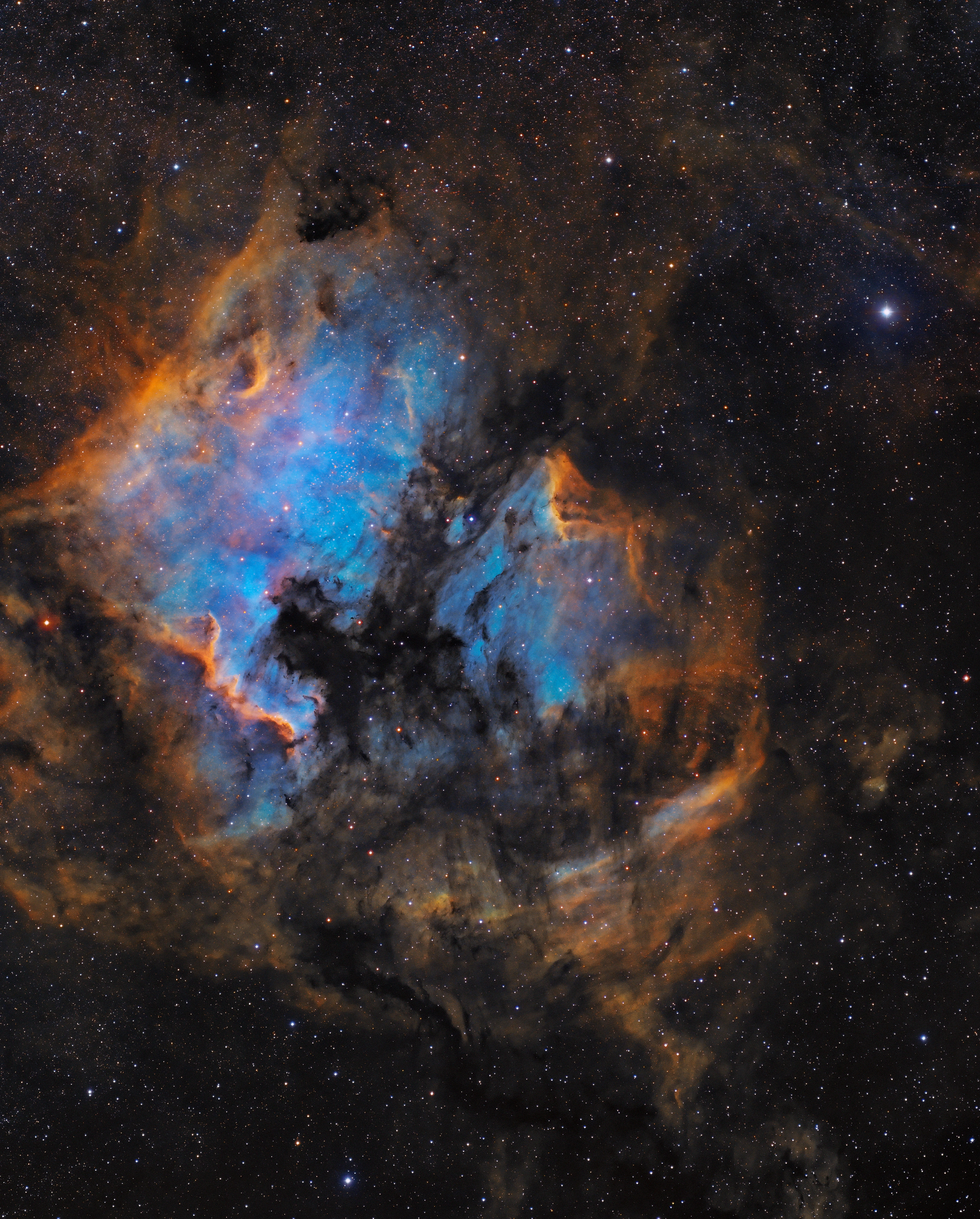 north-america-nebula-ngc-7000-sho-display The North America Nebula NGC 7000 in Cygnus, its Gulf of Mexico carved out by a wall of dark dust