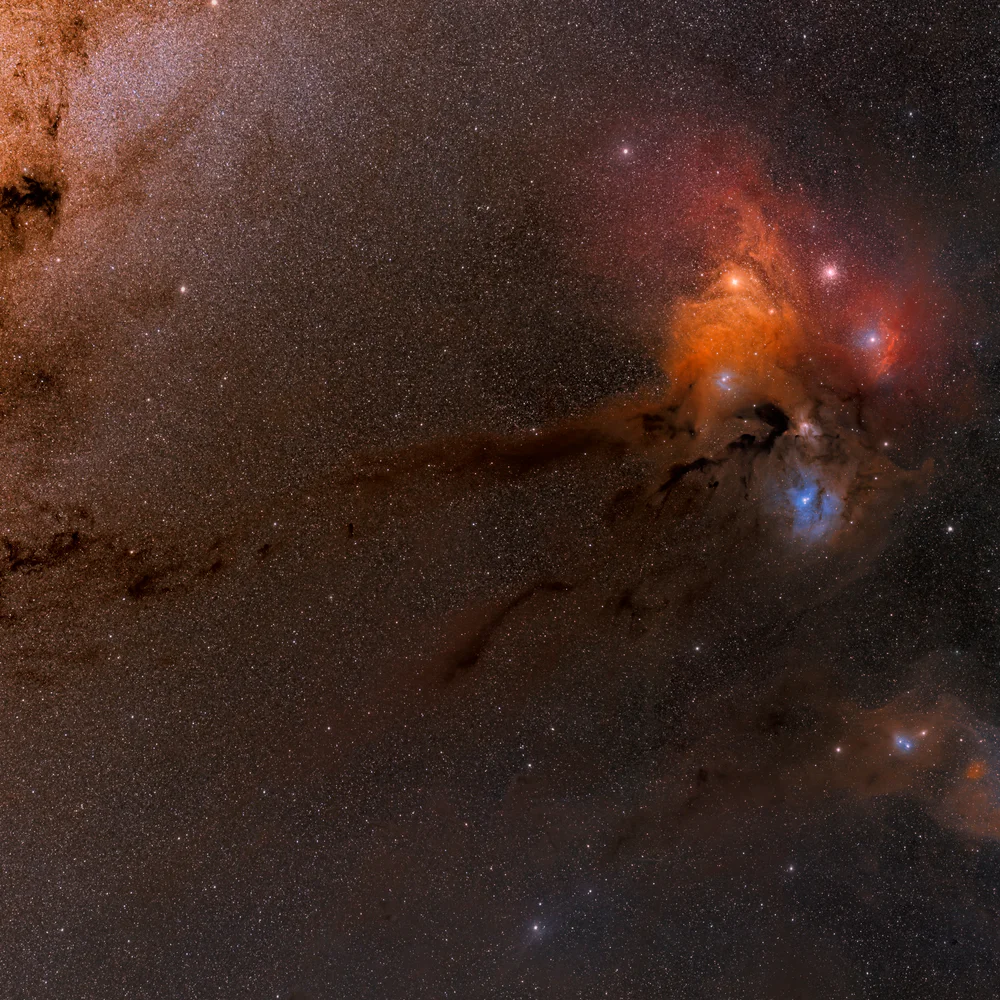 Wide Field Rho Ophiuchi Complex