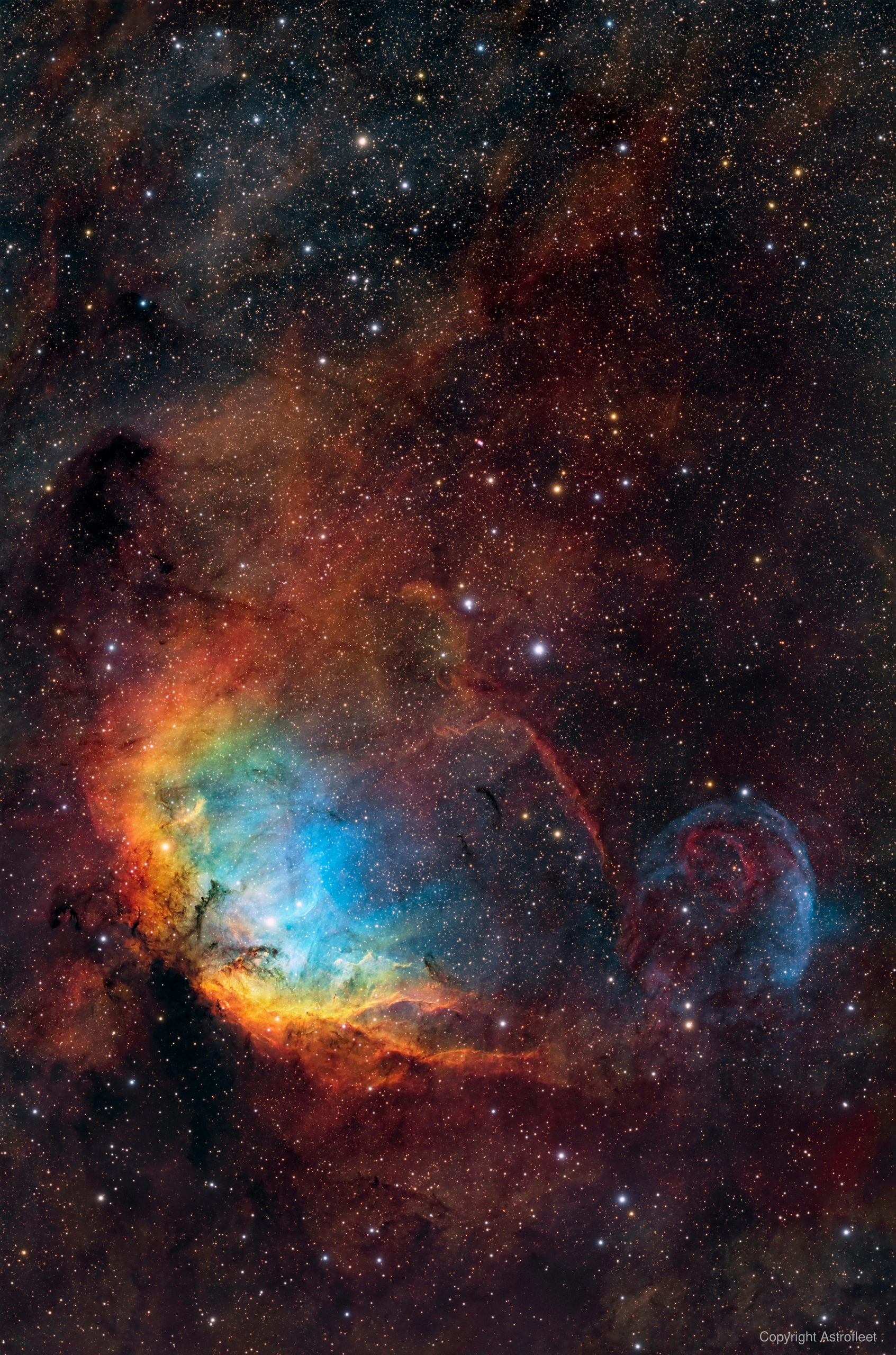 The Tulip Nebula (Sh2-101) & the Cygnus X-1 black hole — Nicolas