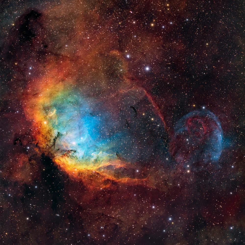 The Tulip Nebula (Sh2-101)