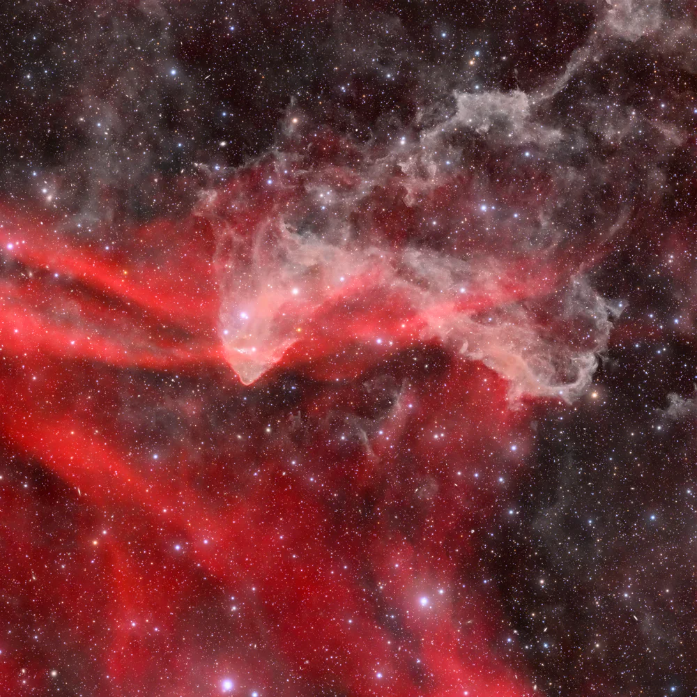 The Gecko Nebula (LBN 437) in Lacerta