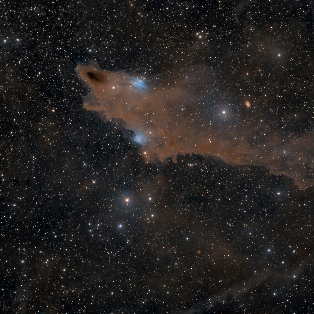 Shark Nebula - LDN 1235