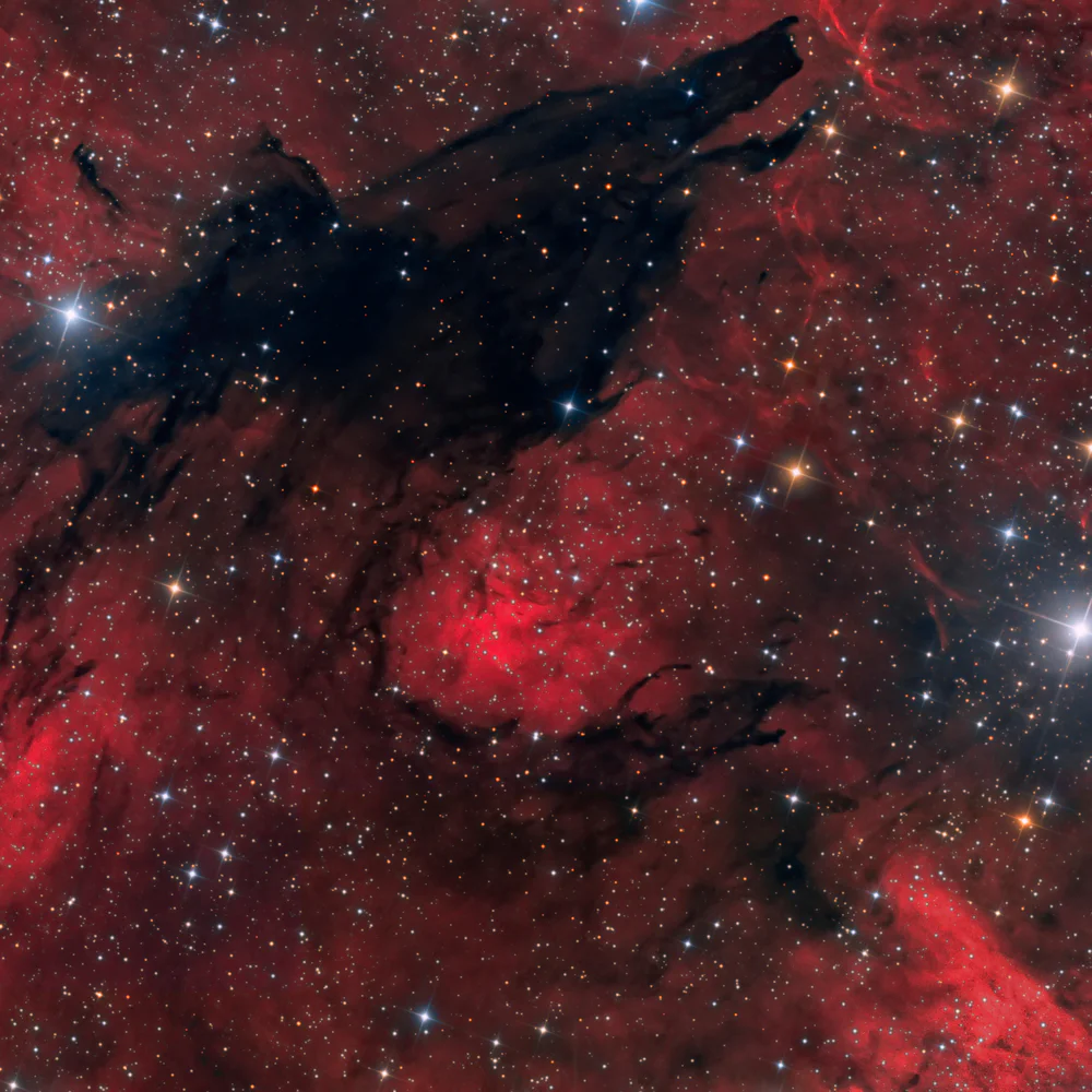 The Dark Wolf Nebula - SL 17