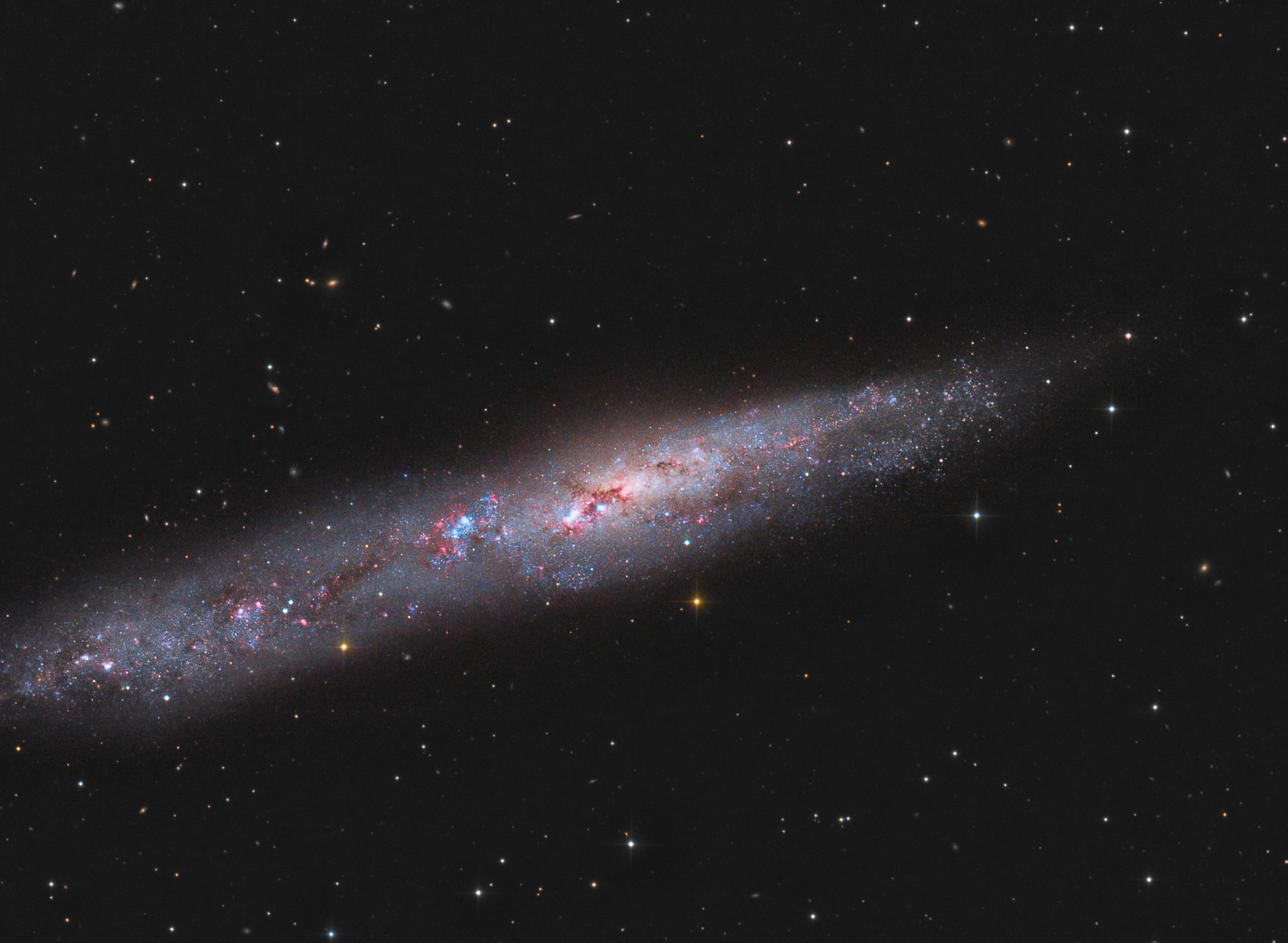 NGC 55, an irregular galaxy in Sculptor seen nearly edge-on, mottled with knots of new stars