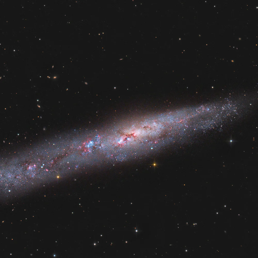 String of Pearls Galaxy - NGC 55