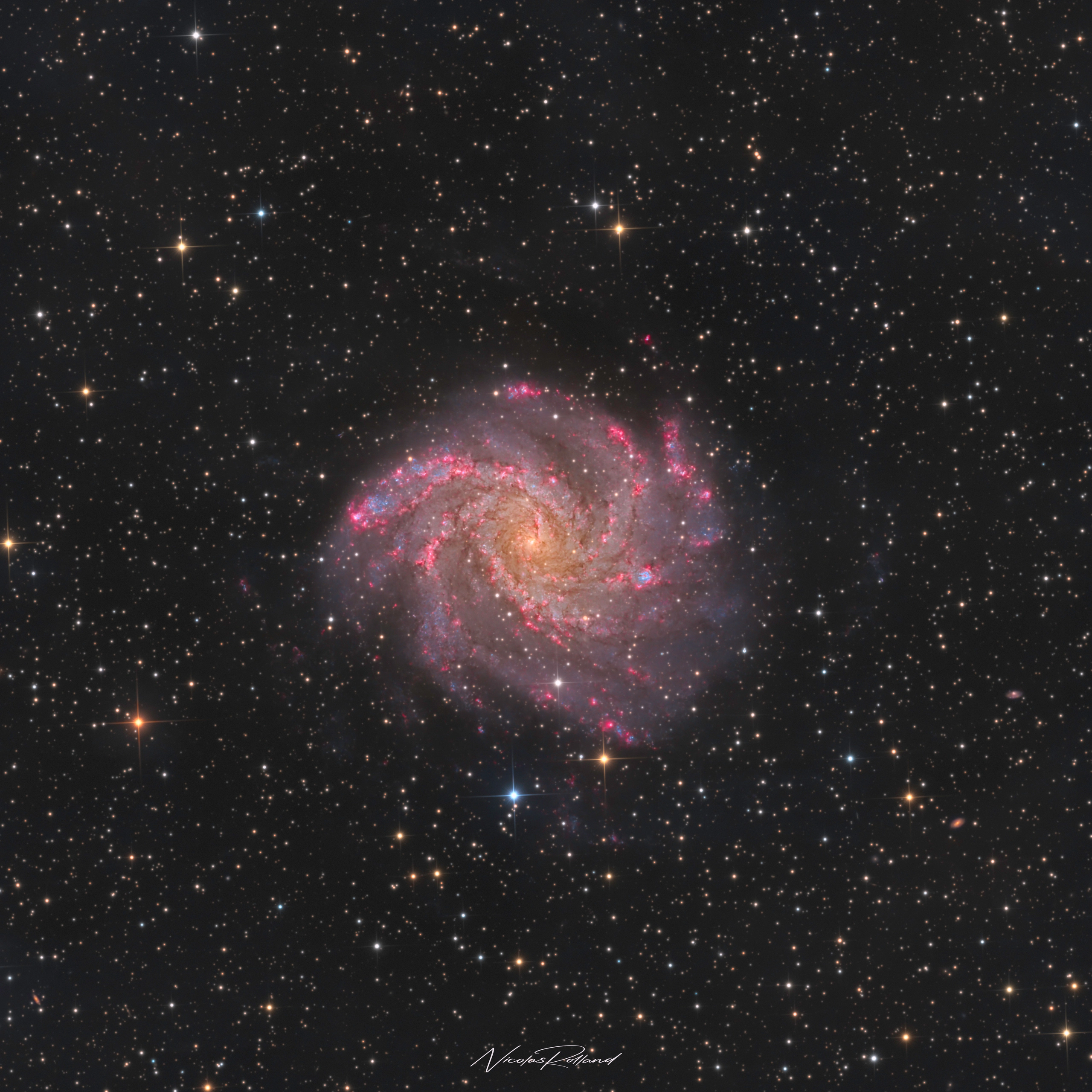 Fireworks Galaxy NGC 6946 in Cepheus, a face-on spiral lined with pink star-forming regions, 29.2 hours of HaLRGB