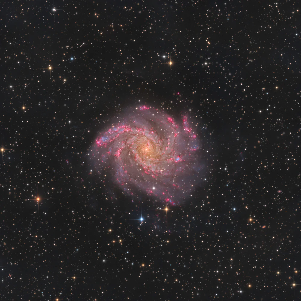 Fireworks Galaxy - NGC 6946